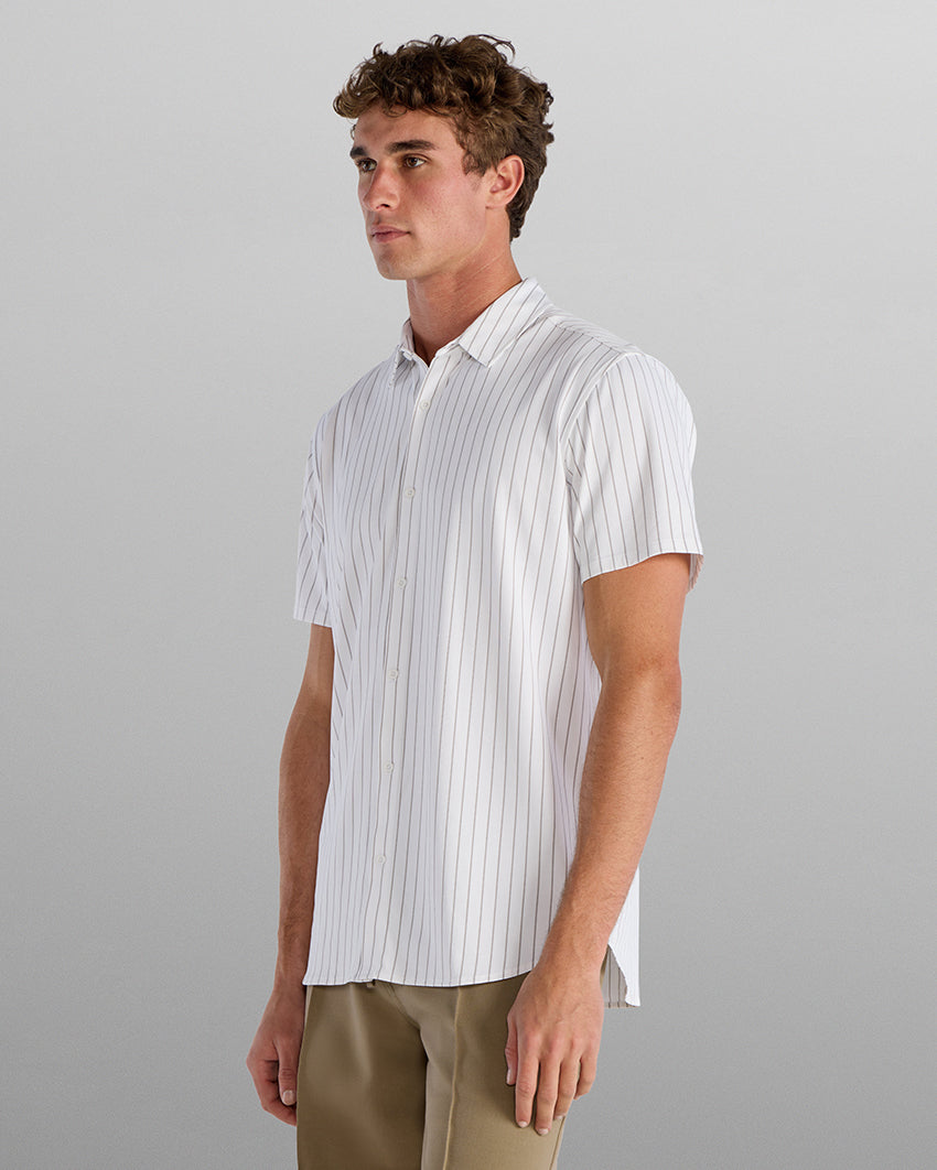 White-Striped