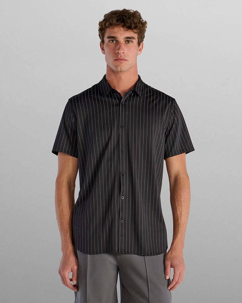 Black-Striped