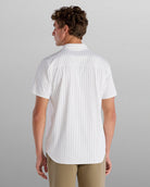 White-Striped